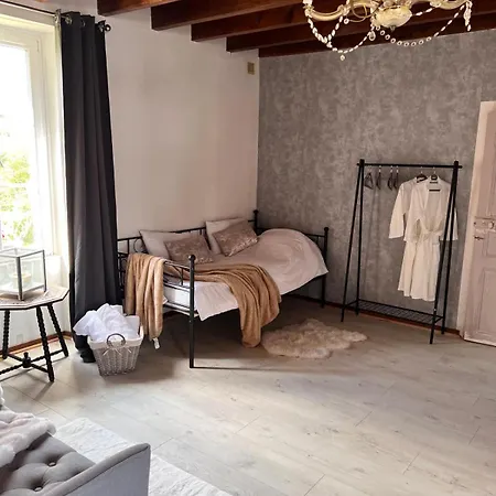 Entire Only 35 Minutes From Puy Du Fou וילה La Chapelle-Saint-Etienne